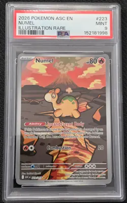 2026 POKEMON ASC EN-ASCENDED HEROES ILLUSTRATION RARE #223 NUMEL PSA 9 - Image 1