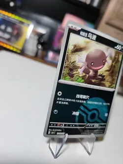 Paldean Wooper 1302/05 Poke Ball Holo - CBB1C - Pokemon TCG Chinese NM - Image 2