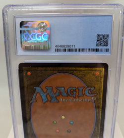 MTG - Mirage - Forest - Graded 9.0 - Image 5
