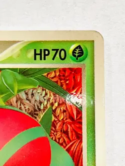 Grovyle Promo Pokemon Card Game 081/PCG-P Very Rare From Japan Meiji Nintendo - Image 3