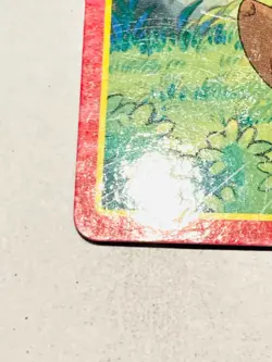 Poochyena Pokemon Card Top Advanced Generation 010 Rare From Japan Nintendo F/S - Image 4