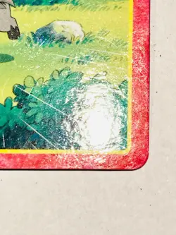 Poochyena Pokemon Card Top Advanced Generation 010 Rare From Japan Nintendo F/S - Image 5