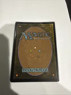 Plains FOIL Shadow Signed Lucas Graciano) - Standard Showdown Promo (SSP) -NM - Image 2