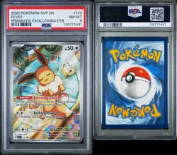 PSA 8 POKEMON 2025 SVP EN-SV BLACK STAR PROMO #173 EEVEE PRISMATIC EVOLUTIONS - Image 3