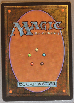 Thawing Glaciers - MTG - Alliances - Magic: The Gathering - Image 2