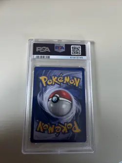 Pokemon TCG Wartortle Base Set 42/102 Regular Unlimited Uncommon PSA NM-MT 8 - Image 2