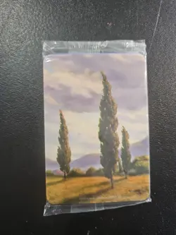 *SEALED* Set of MTG Theros Holiday Gift Box Plastic Dividers - Image 1