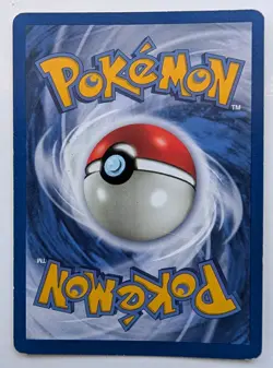 Zapdos 15/62 & Haunter 6/62 - Pokemon Fossil Holo - NM - Clean Holo - Arita - Image 3