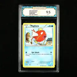 TQG 9.5 Mint+ 2015 Pokemon ENG Magikarp #XY-AO 19/98 C - Image 1