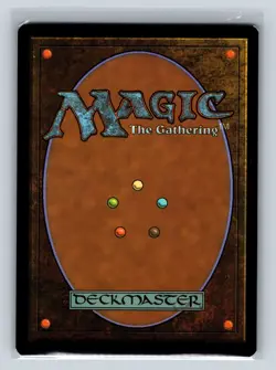 Magic the Gathering - MTG - AFR - Plains - 264 - Foil - Image 2