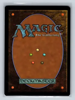 Magic the Gathering - MTG - AFR - Plains - 264 - Foil - Image 4