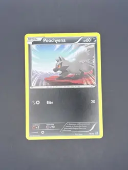 Bundle Mightyena 17/39 Poochyena 16 Non Holo Common Kalos Starter Set NM Pokemon - Image 3