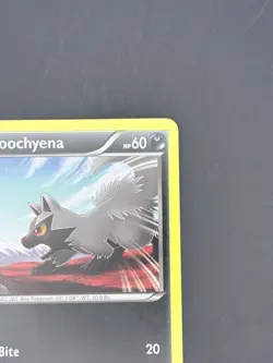 Bundle Mightyena 17/39 Poochyena 16 Non Holo Common Kalos Starter Set NM Pokemon - Image 4