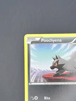 Bundle Mightyena 17/39 Poochyena 16 Non Holo Common Kalos Starter Set NM Pokemon - Image 5