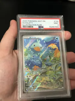 Pokemon ‘Ducklett 109/086’ PSA 9 MINT New Slab! - Image 2