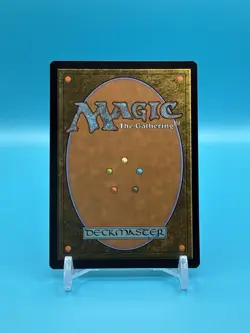 Pictures Of Spider-Man - Marvel’s Spider-Man (SPM) - MTG - FOIL - Image 2