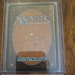 Wizards of the Coast MTG Savannah Revised Edition Rare Land Rob Alexander - Image 2