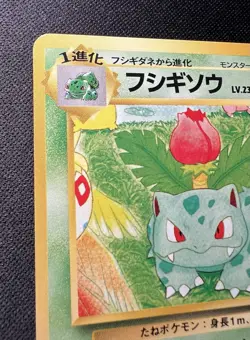 Ivysaur No.002 LP (Excellent) - 1996 Japanese Pokemon Card - Southern Island - Image 3