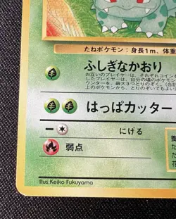 Ivysaur No.002 LP (Excellent) - 1996 Japanese Pokemon Card - Southern Island - Image 5