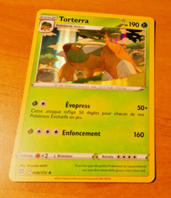 POKEMON STARS ETINCELANTES FRANCAISE CARD HOLO RARE CARTE TORTERRA 008/172 FR NM - Image 1