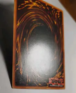 Red Eyes Black Dragon BPT-005 Secret Rare Limited Edition Yu-Gi-Oh Card NM - Image 5