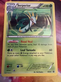 POKEMON PROMO CARD - BLACK AND WHITE - SERPERIOR BW20 (HOLO) NM - Image 1