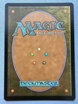 Stormcarved Coast Borderless FOIL - 304 - MTG: Secrets of Strixhaven - Near Mint - Image 2