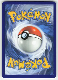 Minccino 145/202 Common Sword & Shield Pokemon Reverse Holo Near Mint - Image 2