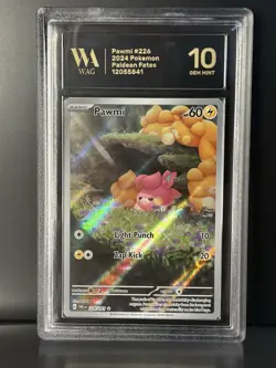 GRADED WAG Gem Mint 10 Pawmi 226/091 Paldean Fates Illustration Rare Pokemon - Image 1
