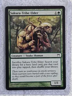 MTG Sakura-Tribe Elder - Champions of Kamigawa (CHK) #239 Magic Card NM - Image 4