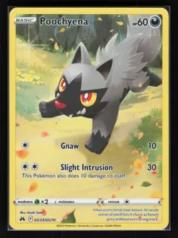 Poochyena Holo Rare Pokemon SWSH: Crown Zenith: Galarian Gallery GG33/GG70 LP - Image 1