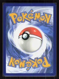Poochyena Holo Rare Pokemon SWSH: Crown Zenith: Galarian Gallery GG33/GG70 LP - Image 2