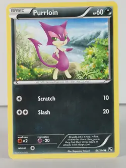 Purrloin - Black & White - 66/114 - NM - Common - Image 1