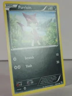 Purrloin - Black & White - 66/114 - NM - Common - Image 2