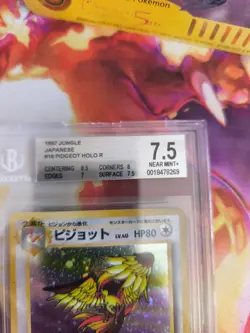 Pokemon Card Tauboss Pidgeot Jungle Dschungel Holo 1997 Japanese BGS Beckett 7.5 - Image 4