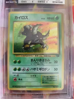 Pokemon Card Pinsir Jungle Dschungel 1997 Holo Rare Japanese BGS Beckett 8 - Image 3