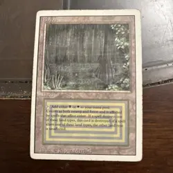 Mtg 4 X Bayou Revised - Image 3