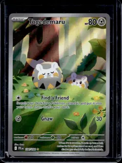 2025 Pokemon Phantasmal Flames Togedemaru Illustration Rare #104/094 - Image 1