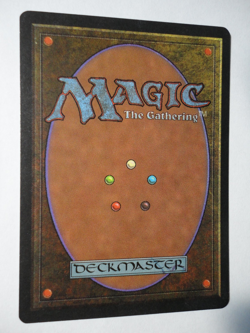 Dust to Dust The Dark LP Lightly Played MTG Magic the Gathering - Image 2