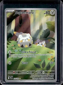 2025 Pokemon Phantasmal Flames Togedemaru Illustration Rare #104/094 - Image 1