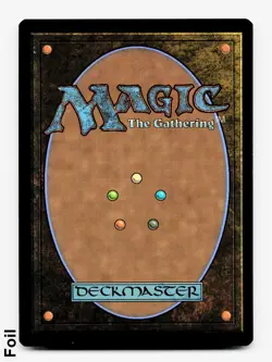 Anthem of Champions - FOIL - MTG: Foundations *In Hand* 🌳⚪ - Image 2
