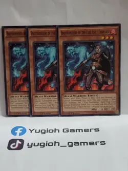 Yu-Gi-Oh BROTHERHOOD OF THE FIRE FIST - LEOPARD MP14-EN013 1ST EDITION COMMON LP - Image 1