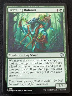MTG - Traveling Botanist - Tarkir: Dragonstorm - Pack Fresh!! - Image 1