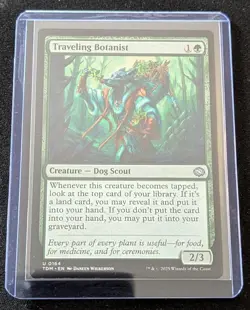 MTG - Traveling Botanist - Tarkir: Dragonstorm - Pack Fresh!! - Image 2