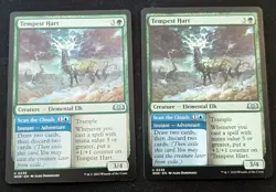 MTG - x2 Tempest Hart - Wilds of Eldraine - Pack Fresh!! - Image 1