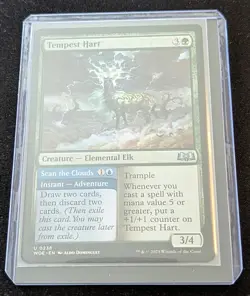 MTG - x2 Tempest Hart - Wilds of Eldraine - Pack Fresh!! - Image 2