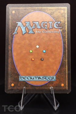 Fungusaur - 1993 Magic the Gathering - Limited Edition Beta Regular - Image 2