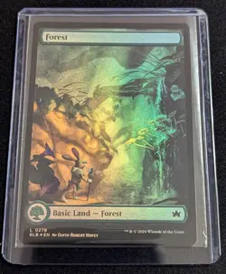 MTG - Forest (278) FOIL Bloomburrow - Pack Fresh!! - Image 2