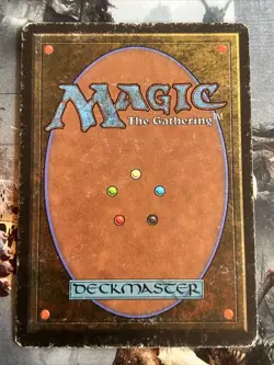 1x Relic Barrier Legends HP English MTG Magic the Gathering x1 MKE - Image 2