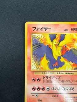 [NM] Moltres Pokemon Card Japanese No.146 Quick Starter Gift Vintage Glossy 20M8 - Image 4